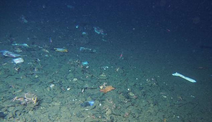017 deep ocean mariana trench plastic pollution 3