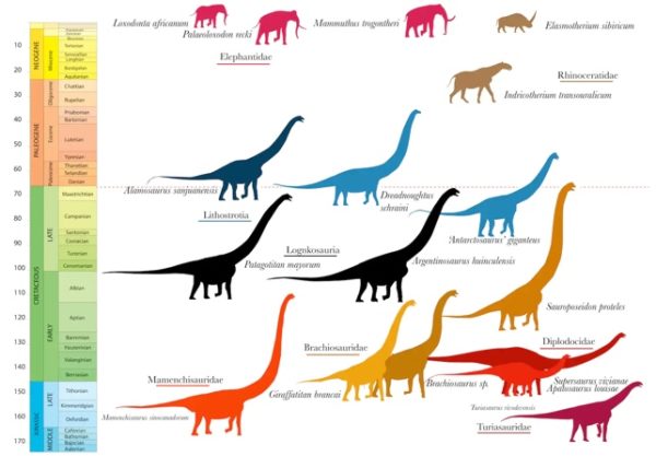 Se Non Si Fossero Estinti Come Sarebbero I Dinosauri Oggi