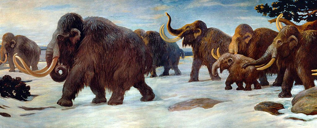  An illustration of a herd of woolly mammoths walking on a snowy landscape, with the text "The impact of genomic meltdown on the extinction of woolly mammoths in Wrangel Island" superimposed on the image in the top left corner.