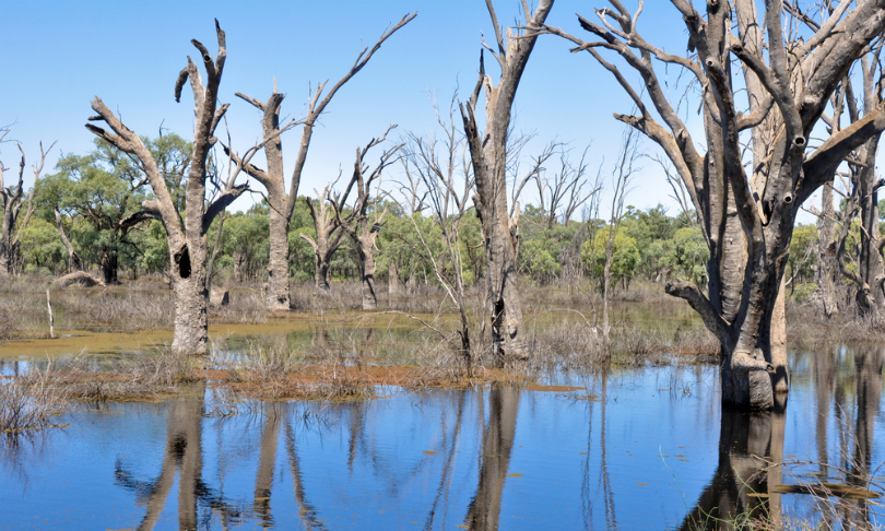 Farmers want to 'bank' water