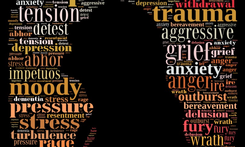 Under new psychiatric guidebook we might all be labelled mad