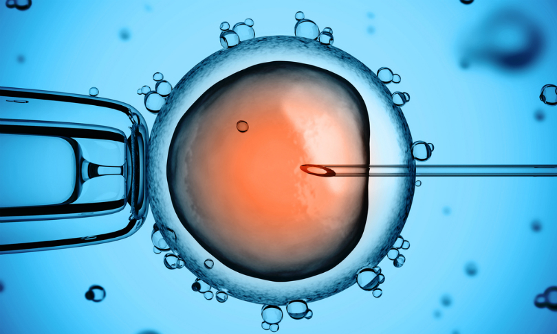 Stem cell creation mapped
