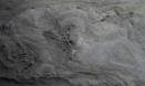 Oldest bird tracks in Australia found