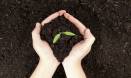 Peak water, peak oil... Now, peak soil?