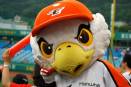 Can robots be the perfect sports fans?