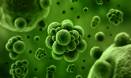 Sorting bad bacteria