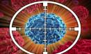 Study: more cancer, fewer deaths