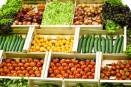 Big kudos! British grocery store is using its food waste to generate energy