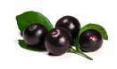 Superfoods: not so super after all?