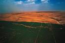 Africa builds 'Great Green Wall' of trees to improve farmlands