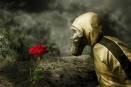 Lifting the toxic curse