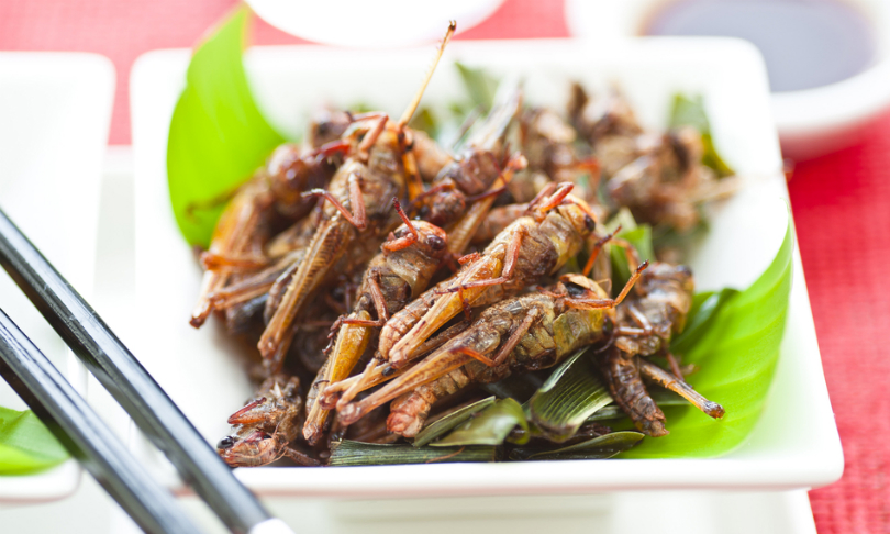 Icky insects are actually tasty treats that are good for you
