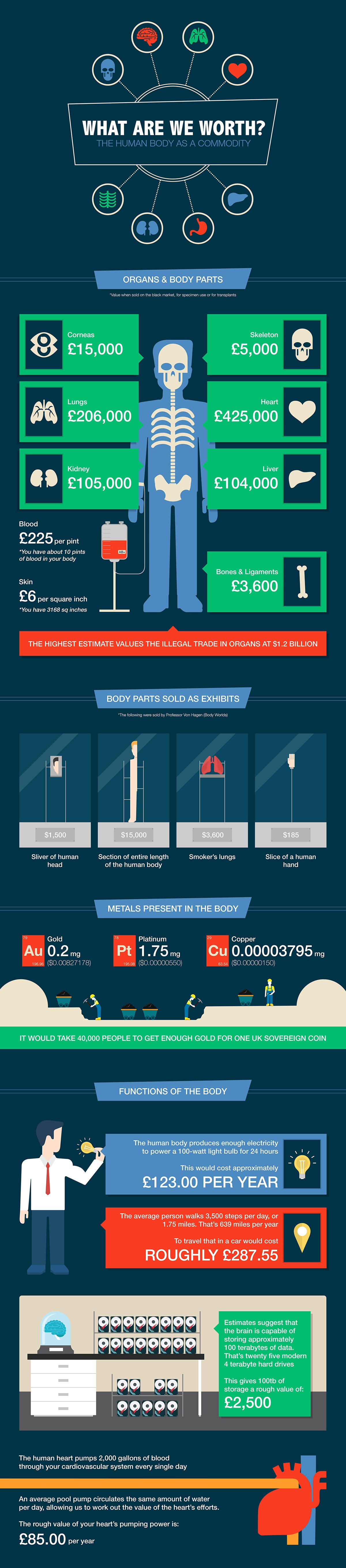 This Is How Much Your Body Is Worth : ScienceAlert