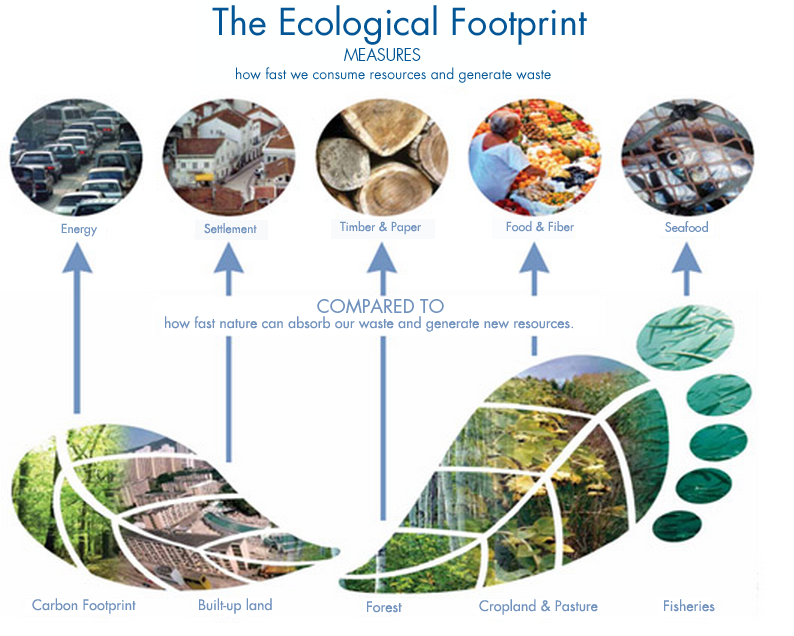 How the global footprint is calculated