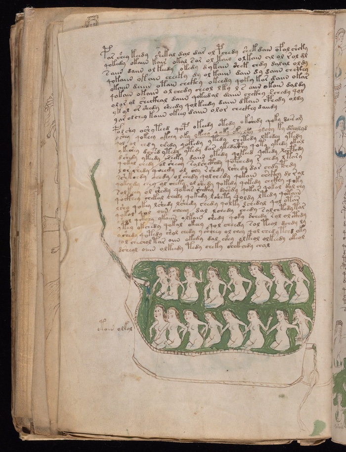 voynich manuscript wikipedia