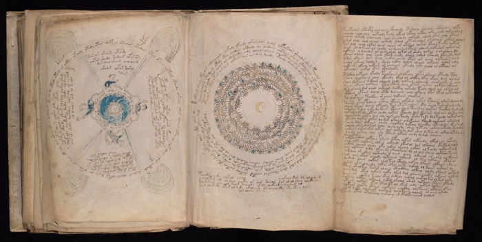 voynich manuscript decoded