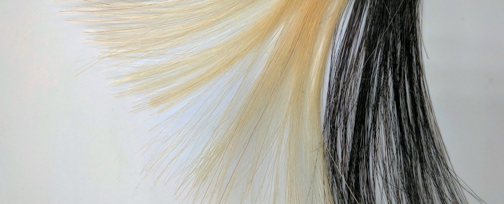 Scientists Have Found a Way to Use Graphene As... Hair Dye