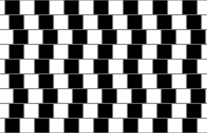 illusions that make you see things on the wall