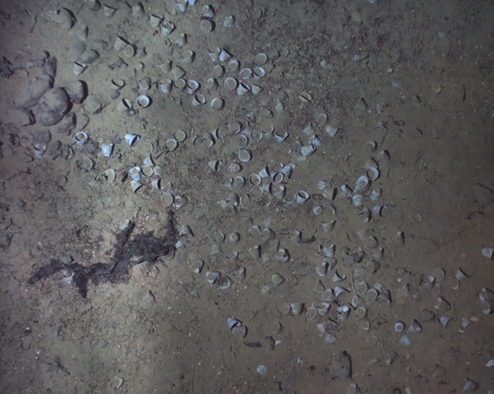 Scientists Have Found The &#039;Holy Grail of Shipwrecks&#039; And Up to $17