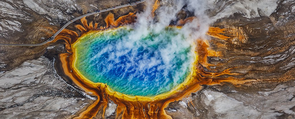 A New Yellowstone Park Discovery Points Back to The Origins of Life ...