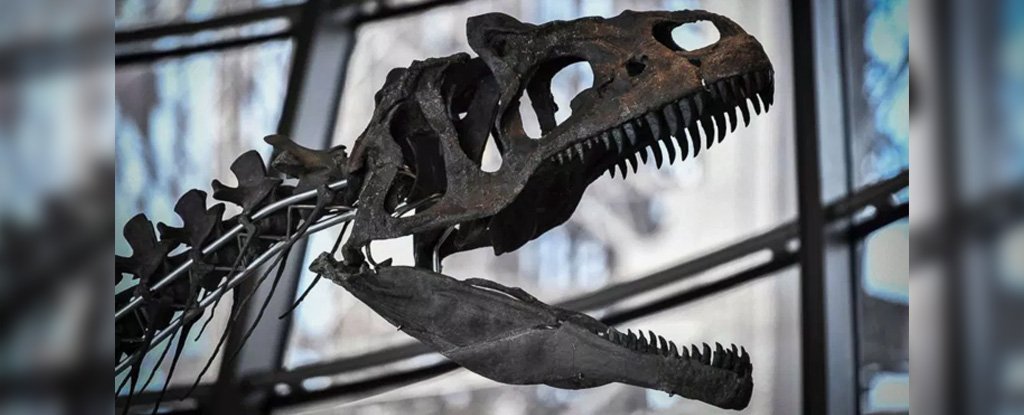 A Mystery Dinosaur Was Nearly Lost to Science Because Someone Bought It ...