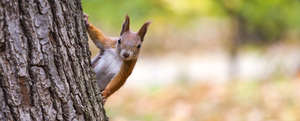 Doctors In Scotland Are Literally Prescribing Nature To Their Patients ...