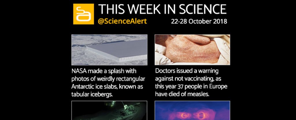 Infographic: The Most Exciting Science News This Week : ScienceAlert