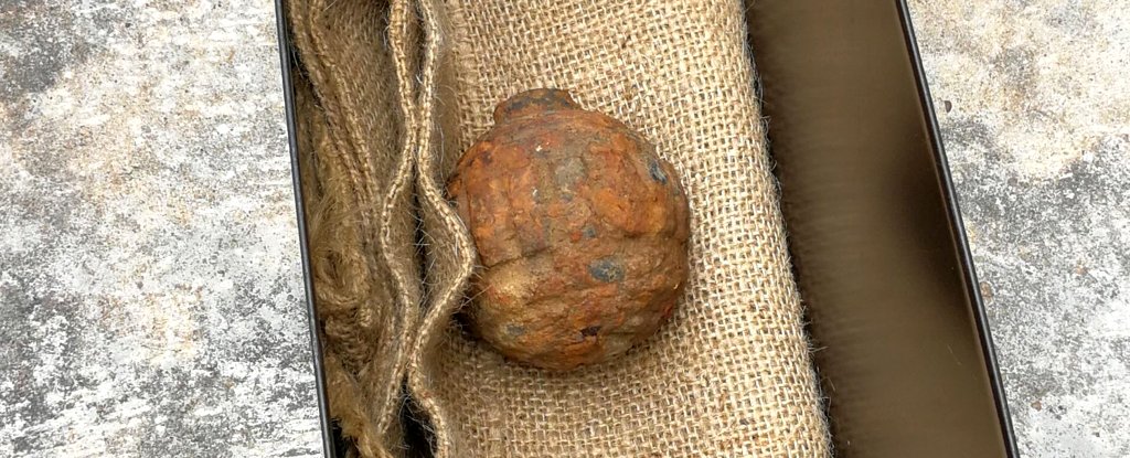 Muddy potato found in chip factory turns out to be possibly deadly WWI ...