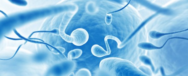 The Female Body Has A Surprisingly Sophisticated Way To Block Weak Sperm Sciencealert
