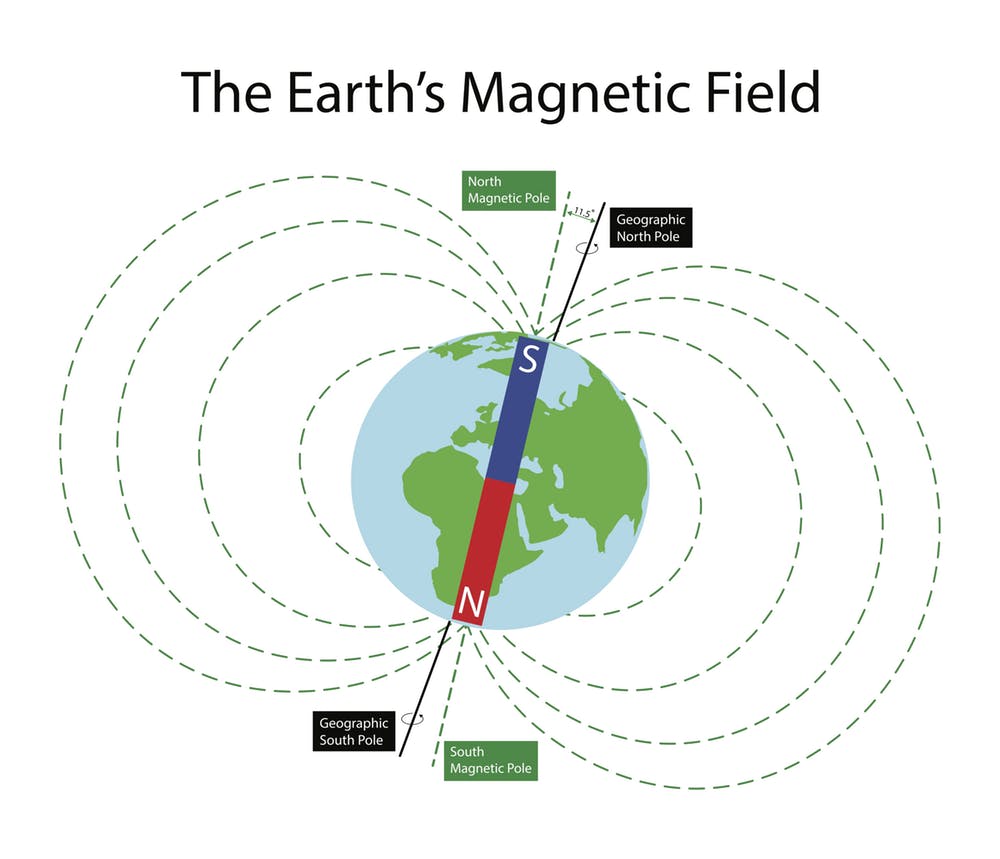 Life on Earth is exposed to the planet's ever-present geomagnetic field. (Nasky/Shutterstock)