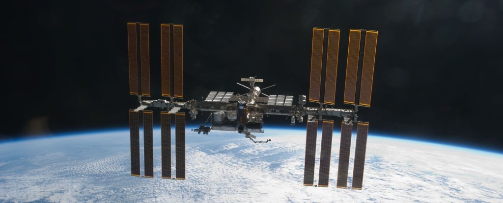 Strange Earth Organisms Have Somehow Survived Living Outside The ISS ...