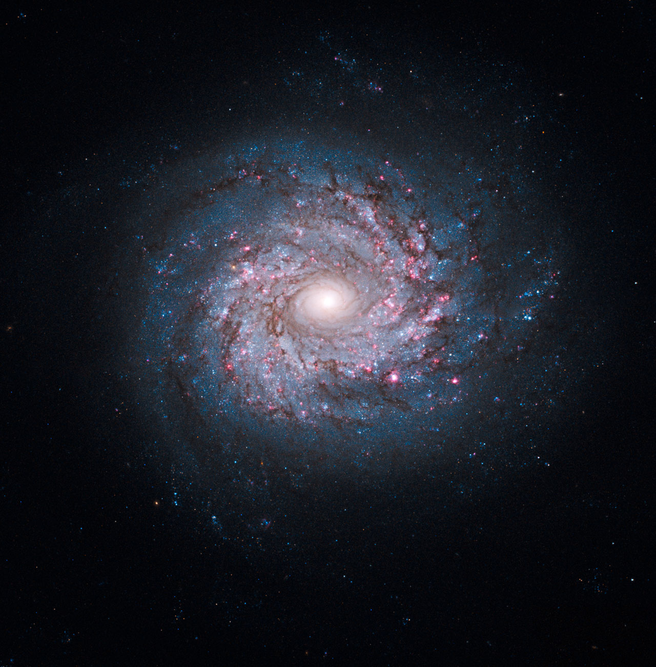 Gloriously Deceptive Hubble Photo Shows What Spiral Galaxies Look Like From The Side