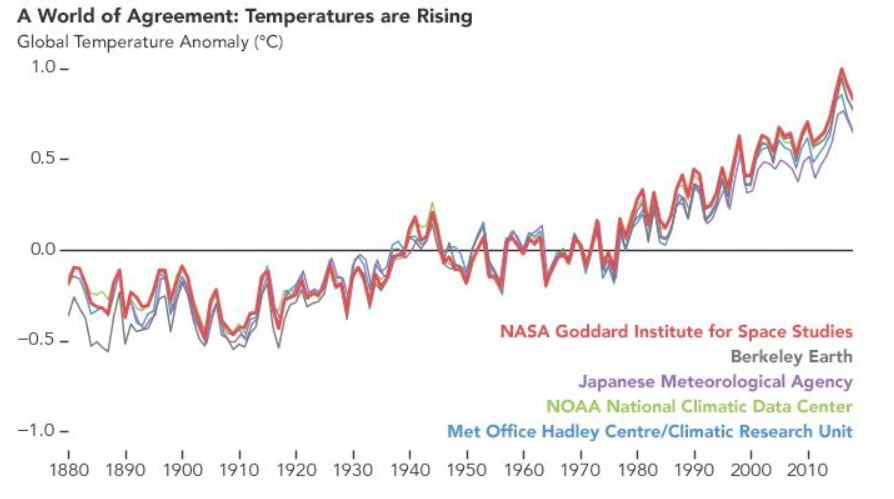 Reconstruction of global temperatures from 1880 to 2018 by five independent international groups of scientists. (NASA)