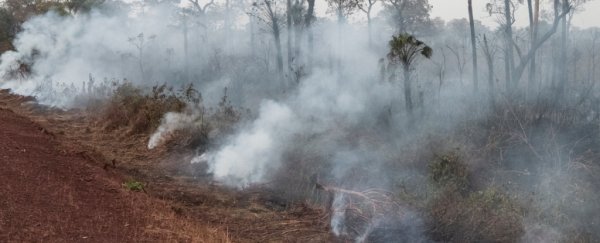 2,000 new fires have started in the Amazon, 48h after government burning ban