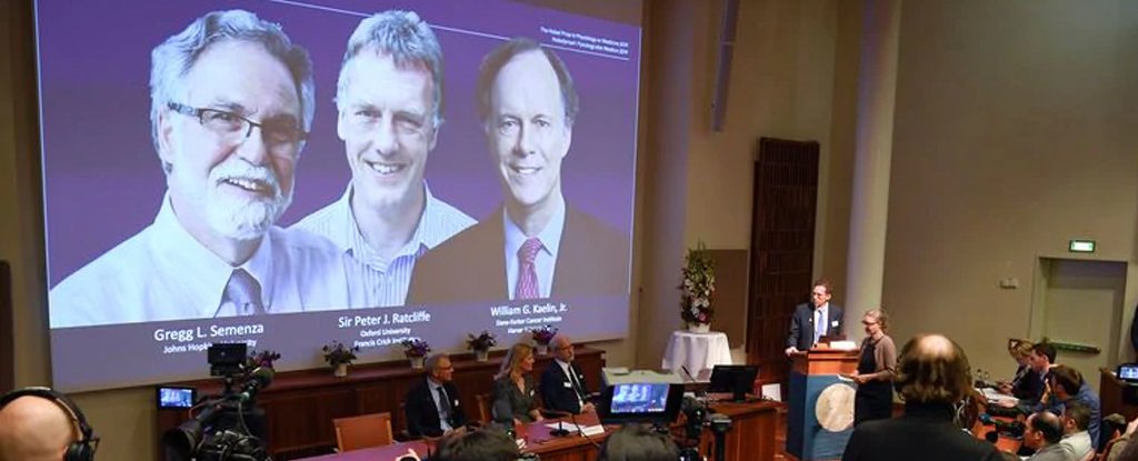 The 2019 Nobel Prize in Medicine news conference.