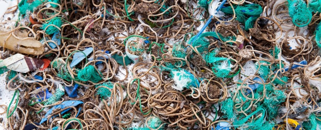 Rubber bands collected from the island. 