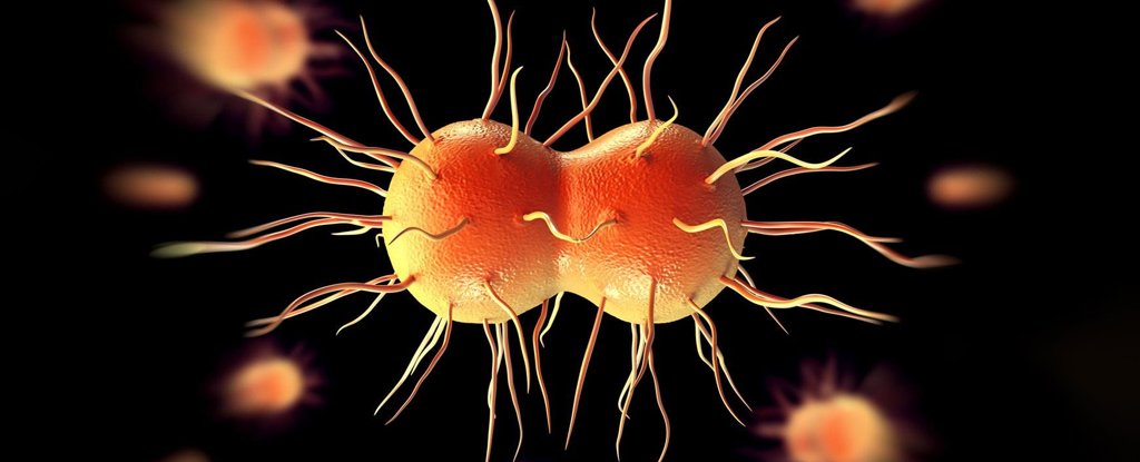 Drug-resistant gonorrhea infections have surged.