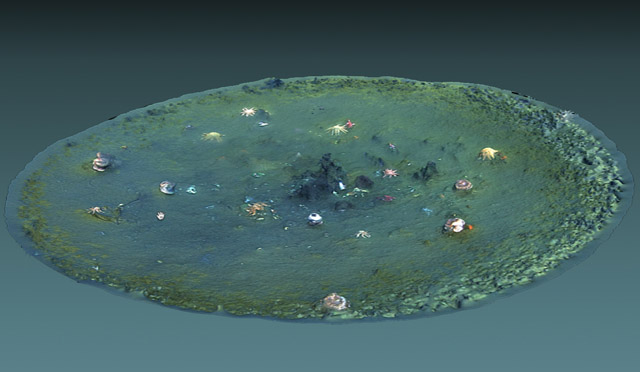 Thousands Of Mysterious Holes Have Been Found In The Ocean Floor