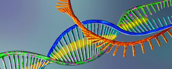 Life's first genes may have contained a nucleic acid you've probably never heard of