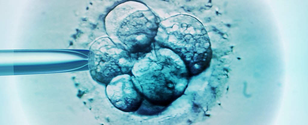 Who Were The First CRISPR-Edited Babies? : ScienceAlert