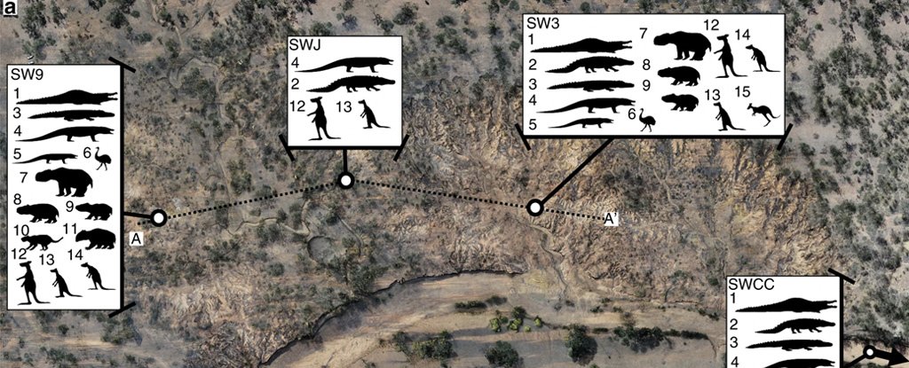 Summary of field sites at South Walker Creek. 