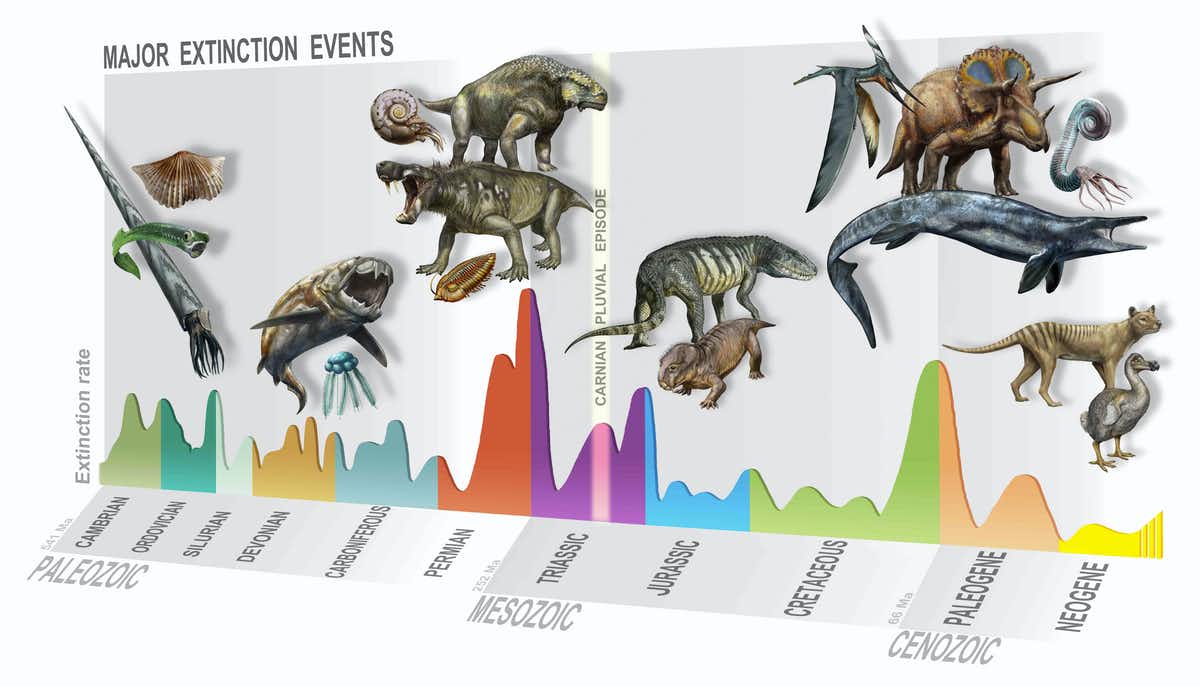 A timeline of mass extinction events. (D. Bonadonna/MUSE, Trento/Author provided)