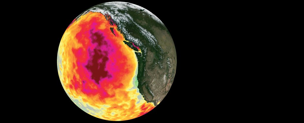 The Massive 'Blob' Anomaly Has Our Fingerprints All Over It, Study ...