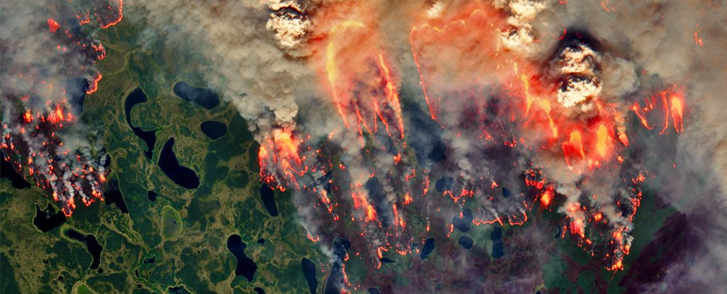 Wildfires burning across Siberia this summer. 