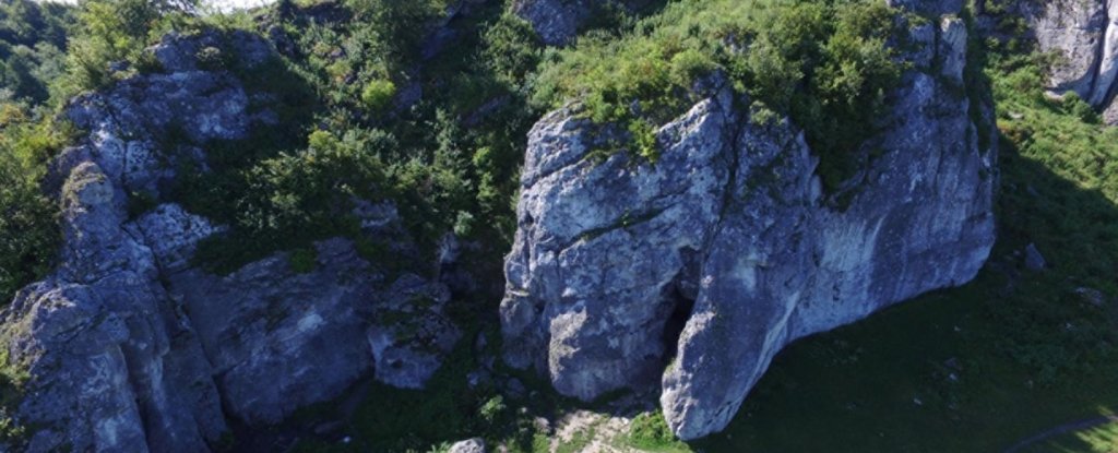 Stajnia Cave, Poland. 