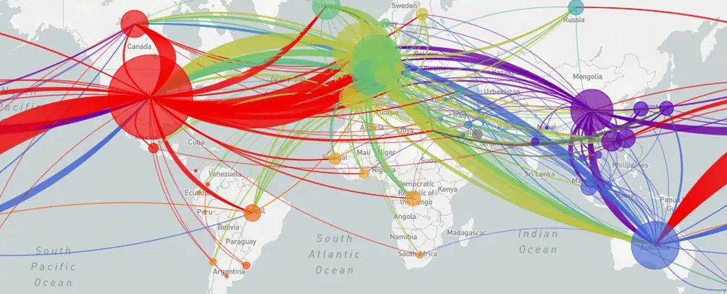 Distribution of the virus's genomes. 