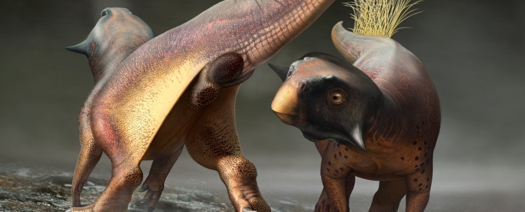 Científicos describen el ojete de un dinosaurio con exquisito detalle