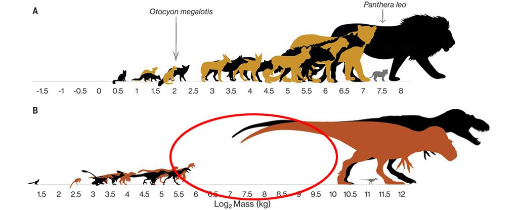 Finally we know why dinosaurs were human or small, unlike modern animals