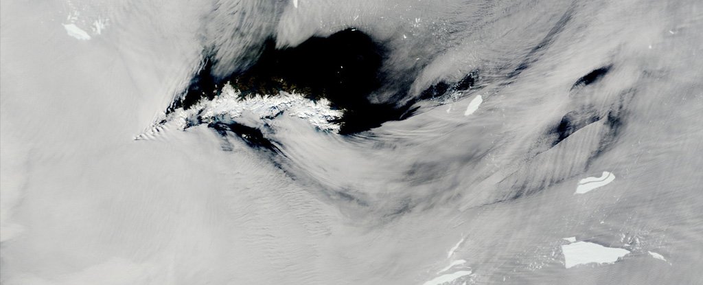 Iceberg pieces around South Georgia Island in Feb 2021. 