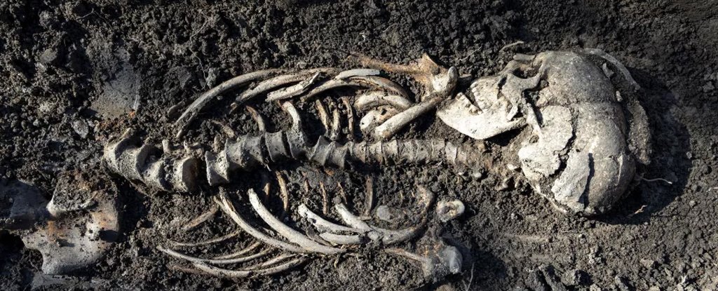Twin Viking Babies Found in a Surprisingly Christian-Looking Burial in Sweden